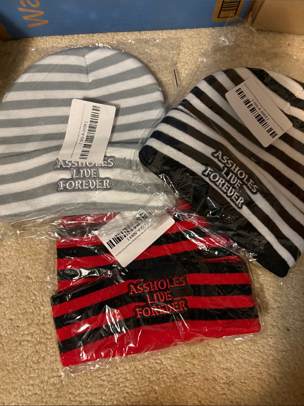 Striped Beanies with 'ASSHOLES LIVE FOREVER' Embroidery - Multiple Colors